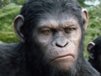 Archetypes: Film: Review: ‘Dawn of the Planet of the Apes’ (2014)